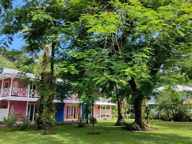 Tortuga Lodge & Gardens By Boeena Tortuguero Ruang foto