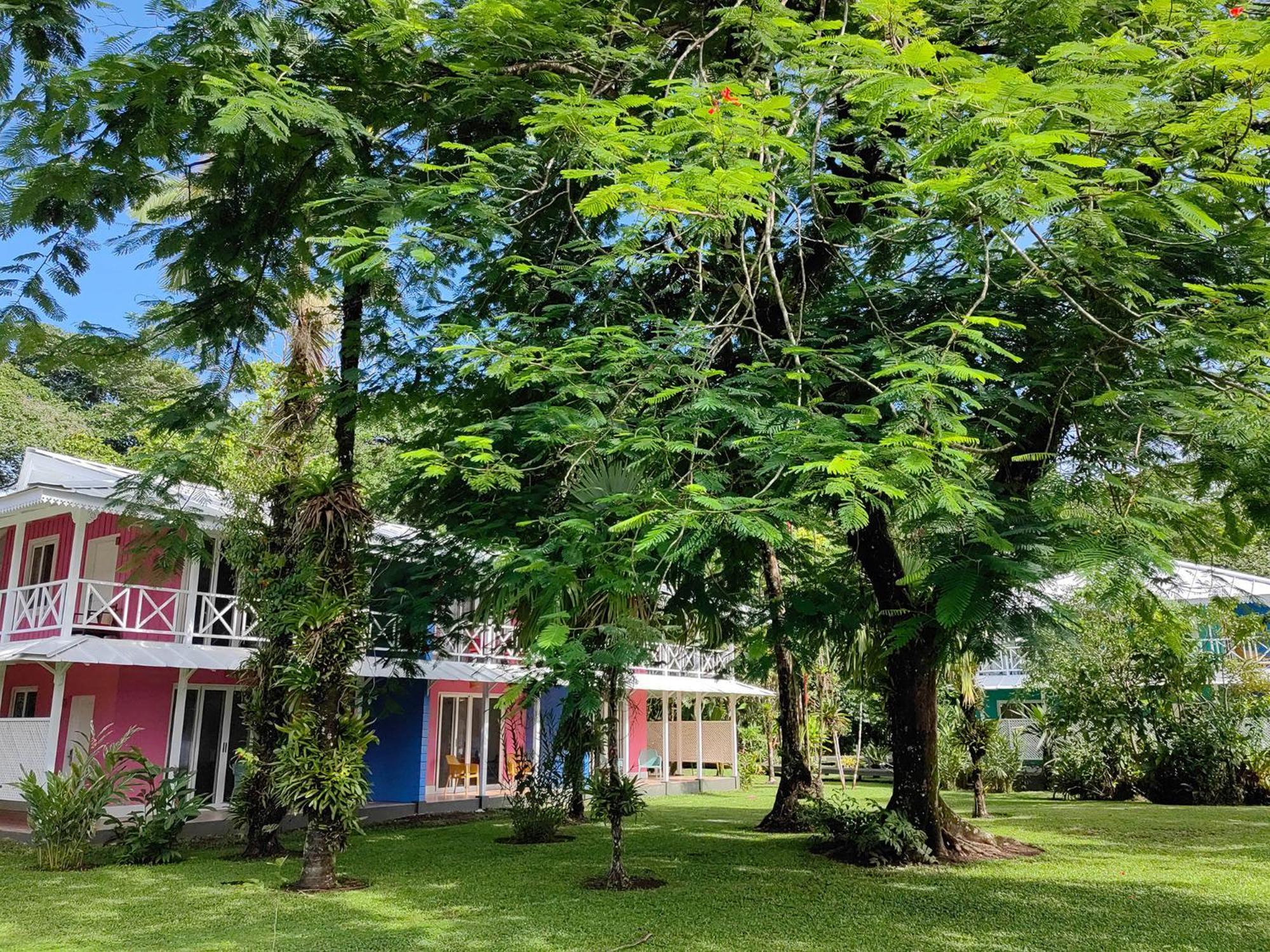 Tortuga Lodge & Gardens By Boeena Tortuguero Bagian luar foto